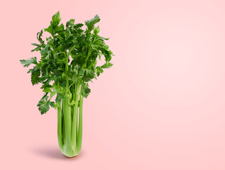 Fresh celery on pink background with copy space