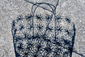 Schatten eines Einkaufskorbes auf Betonplatten