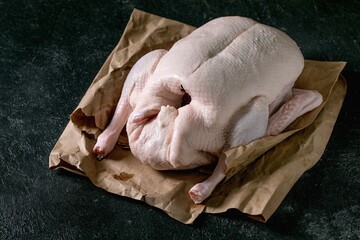 Raw uncooked whole duck on paper over black background