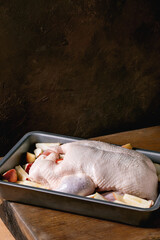 Raw uncooked whole duck in tray with apples