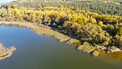 Obraz na płótnie Canvas Aerial river coast view with autumn yellow forest