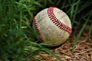 baseball in grass