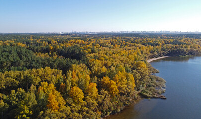 Obraz premium Aerial river coast view with autumn yellow forest