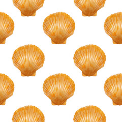 Seamless pattern with shell. Hand-drawn illustration, colored
