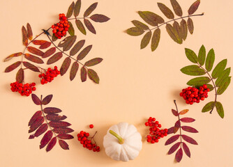 Autumn composition of pumpkin, burgundy leaves and red rowan berries on a pale yellow background. The basis for postcards. There is a place for your text