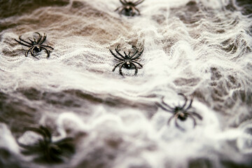 Halloween background with spiders in the web. White spider web with black decorative spiders.