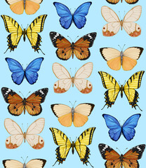Obraz na płótnie Canvas Seamless pattern with butterflies. Forest background. Hand-drawn illustration, colored