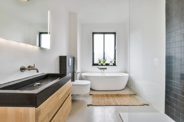 Obraz na płótnie Canvas Luxury interior design of a bathroom with marble walls