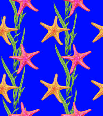 Seamless pattern with starfish and seaweed. Sea life background. Hand-drawn illustration, colored