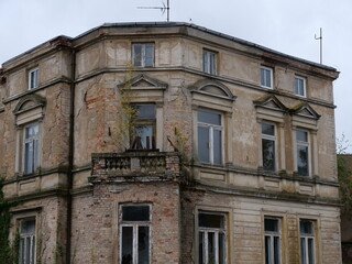 Blick auf Balkon eines sarnierungsbedürtigen Hauses mit  Baum auf dem Balkon
