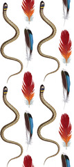 Seamless pattern with feathers and snake. Hand-drawn illustration, colored