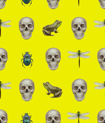 Seamless pattern with skulls, dragonflies, frogs and beetles. Background. Hand-drawn illustration, colored