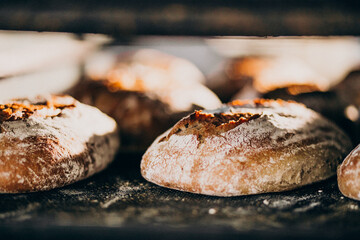 Bread baking industry, tasty pastry