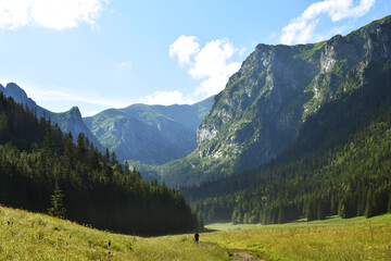 Fototapeta na wymiar valley in tatra mountains
