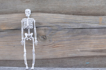 skeleton on a wooden background Halloween holiday concept copy space