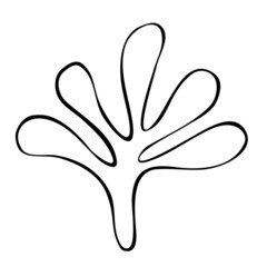 Obraz premium Algae contour, hand drawn vector drawing