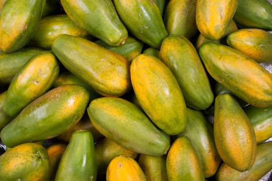 PAPAYA [MAM&Atilde;O]
