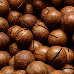 macadamia nuts in the shell. background with a square composition