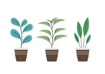 Fototapeta na wymiar Plants in pot vector. Plants in pot icon vector on white background.