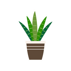 Plants in pot vector. Plants in pot icon vector on white background.
