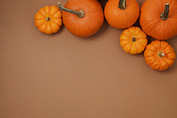 Close up shot of a classic orange and baby boo pumpkins isolated on paper textured background as a symbol of autumnal holidays with a lot of copy space for text