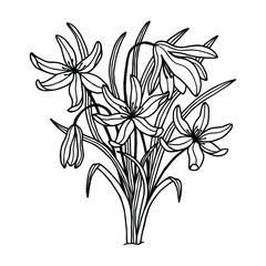 Flowers bouquet of snowdrops. Vector stock illustration eps10. Isolate on white background, outline, hand drawing.