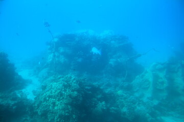 At the bottom of the sea