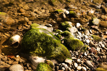 Bemooster Stein in Fluss