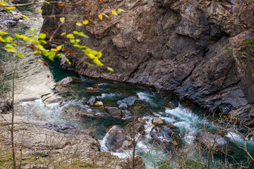 Clean mountain river in the autumn forest.