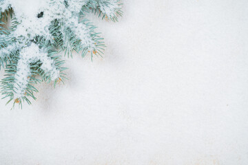 Christmas decoration. Fir branches border on snow background, good for christmas backdrop