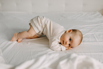 Five months old baby lying on stomach, trying to roll on back. - obrazy, fototapety, plakaty