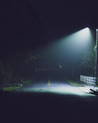 Foggy Street Under The Streetlight - Cool