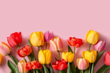 A bouquet of tulips of different colors on a pink background.