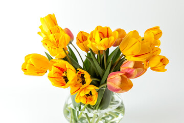 A large bouquet of large yellow tulips in a glass vase on a white background.