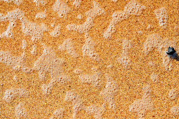 Sand beach. Sea shore. Sunny day.