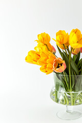 A large bouquet of large yellow tulips in a glass vase on a white background.