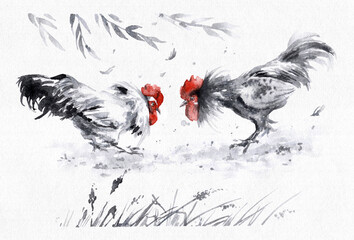 Watercolor sketch of young roosters fight.