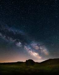 Tree in the mountains with via láctea and milky way in the background