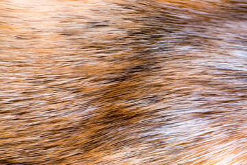 Fox fur close up. Redhead animal fur background, fur pile texture. Eco-wool, eco-leather artificial...