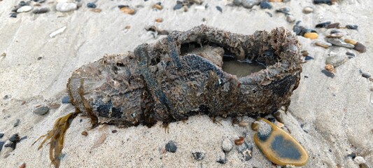 Angeschwemmter Schuh an der dänischen Nordseeküste