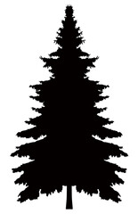 Christmas Tree Vector