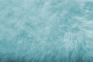 turquoise sheepskin texture with soft hairs, natural fur for the designer, the concept of processing, production of furrier products, stress relief, psychological stress