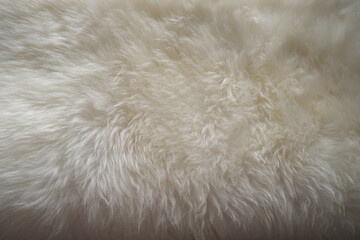 white sheepskin texture with soft hairs, natural fur for the designer, the concept of processing,...