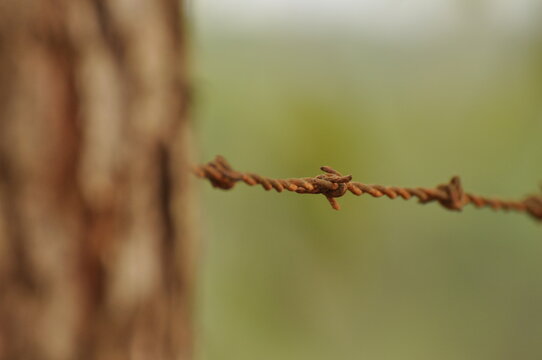 Old and rusty barbed wire image.