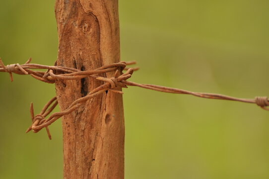 Old and rusty barbed wire image.