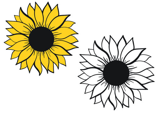 Sunflower decoration for T-shirt bags cards frames cups kitchen 