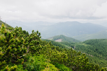 Fototapeta na wymiar View of the mountains in the Carpathians in July 2020, Bukovel, Ukraine