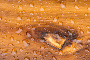 Water drops on an oiled piece of acacia wood background closeup