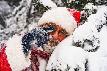 Cute Santa Claus lies on a spruce branch covered with snow.
