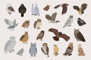 Owls birds wildlife animals vector illustrations set
